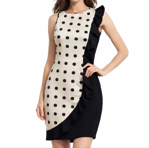 Eva Franco Dresses & Skirts - Eva Franco~Womens Anthropologie Goya Sleeveless Sheath Dress~Polka Dot~Ruffle~2